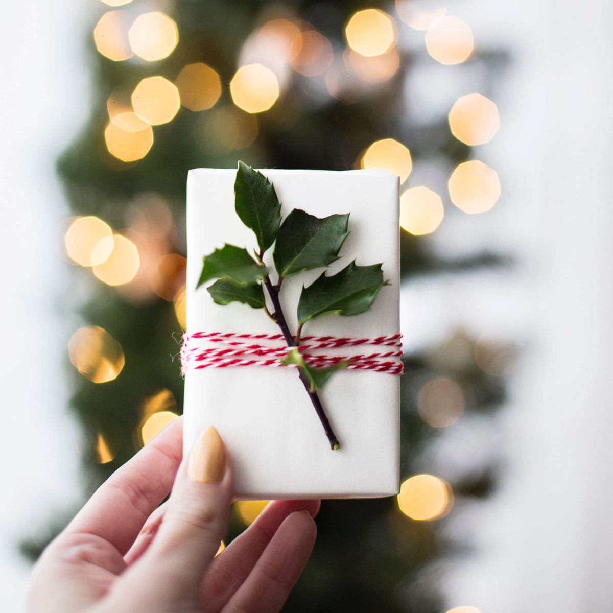5 idées de cadeaux de Noël éthiques et vegan