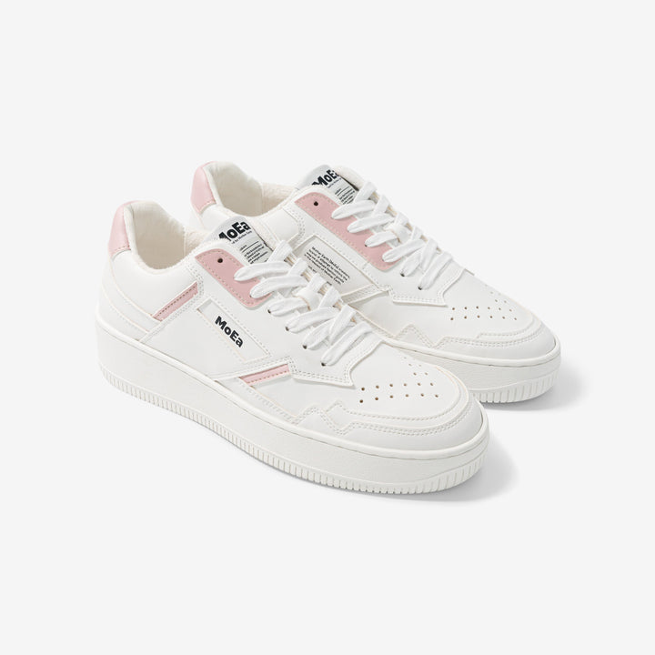 GEN1 - Maïs Blanc &amp; Rose