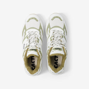 GEN8 - Cactus Blanc & Aloe