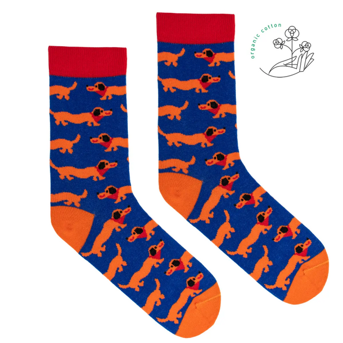 chaussettes en coton bio avec motifs chiens teckel