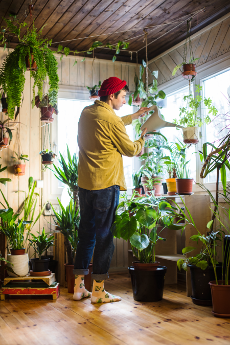 chaussettes avec motifs de plantes vertes
