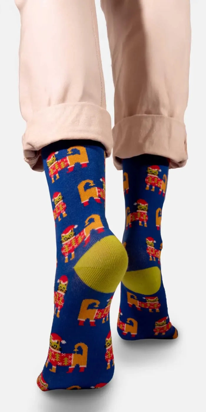 chaussettes motifs chats père noël