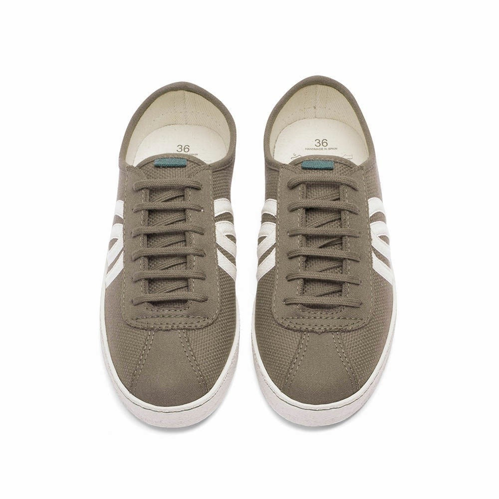 Diogenes khaki