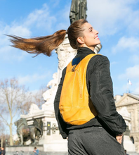 Load image into Gallery viewer, Original Secure Backpack