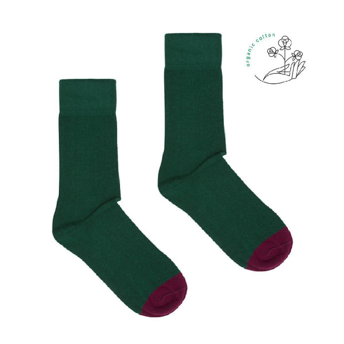 chaussettes coton bio verte