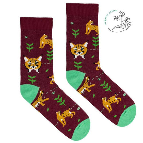 Chaussettes linx