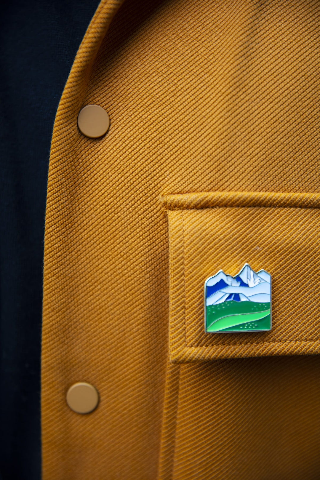 Pins montagne